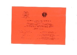 Сертификат Павиташвили