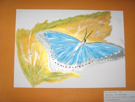 Буслов Саша, 5 лет; Бабочка-волшебница